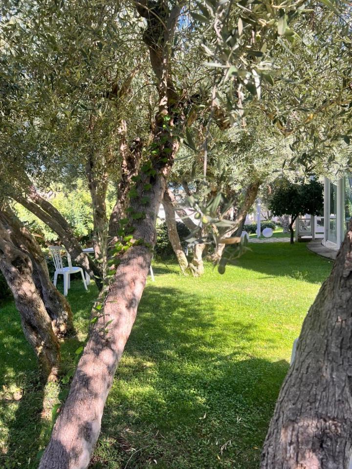 Villa Aurea Ispica Dış mekan fotoğraf