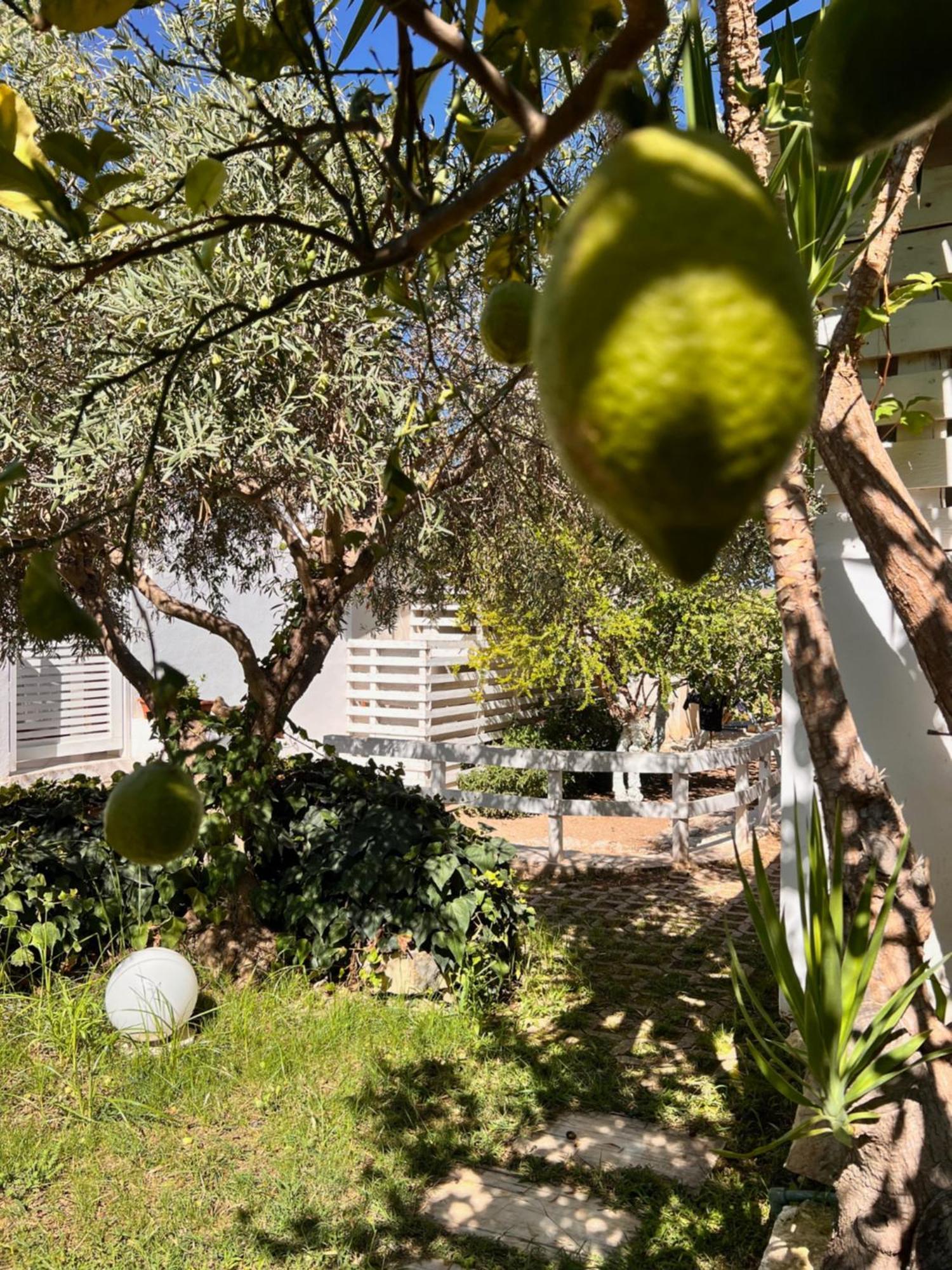 Villa Aurea Ispica Dış mekan fotoğraf